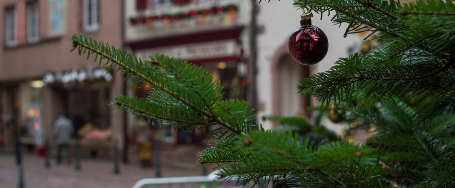 Mnogi se sprdaju s ovim hrvatskim gradom: Društvene mreže "gore" VIDEO