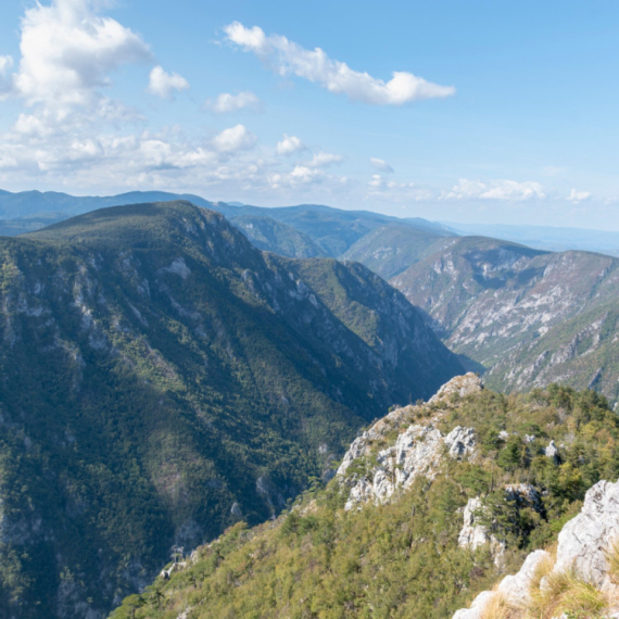 Čak 17 rezervata prirode nalazi se na Tari
