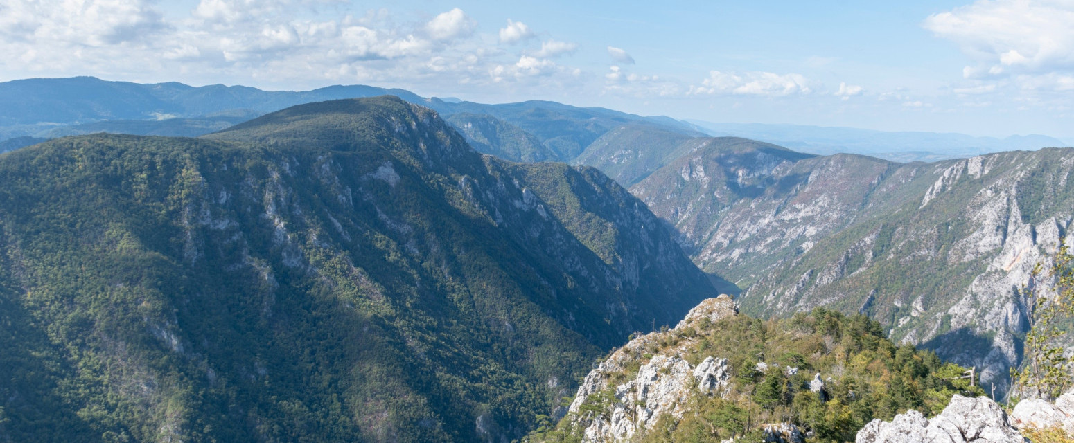 Čak 17 rezervata prirode nalazi se na Tari