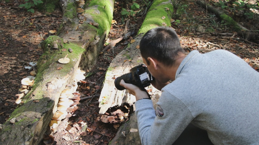 Čak 17 rezervata prirode nalazi se na Tari