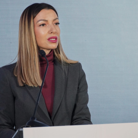 Mesarović: Srbija ima stabilne javne finansije i rekordan priliv investicija