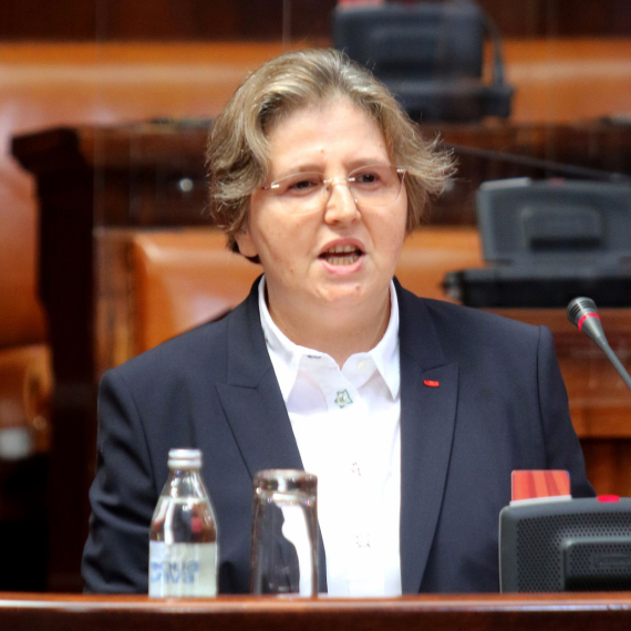 Vujić: Dolovac krši zakon ukoliko je potpisala sporazum bez saglasnosti Vlade