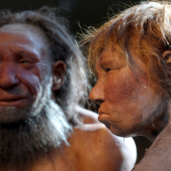 Utvrđeno: Neandertalci jeli žene i decu drugih, a razlog je potpuno bizaran