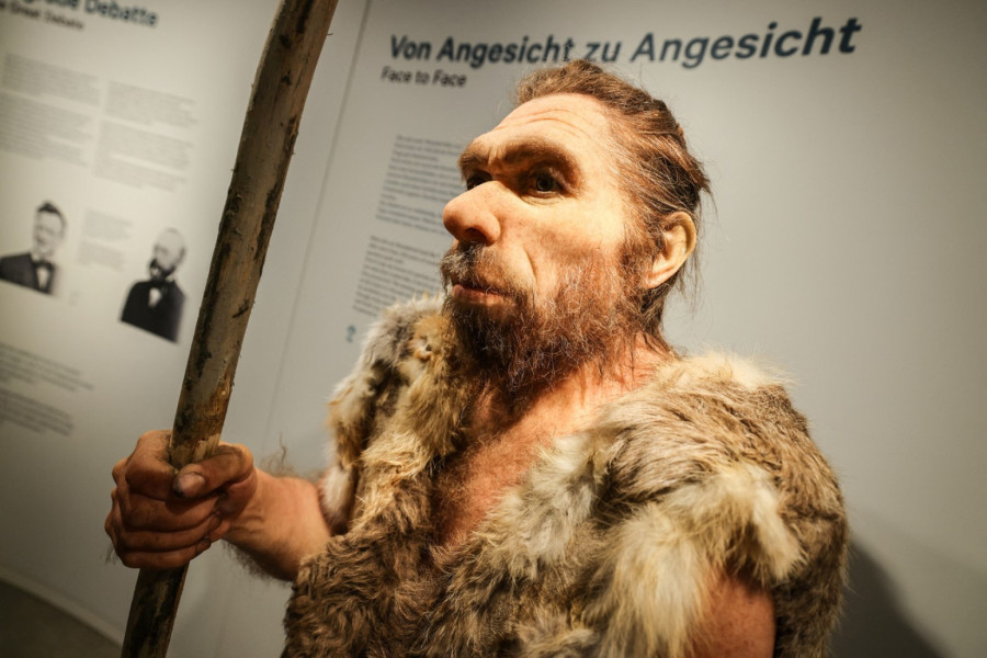 Utvrđeno: Neandertalci jeli žene i decu drugih, a razlog je potpuno bizaran