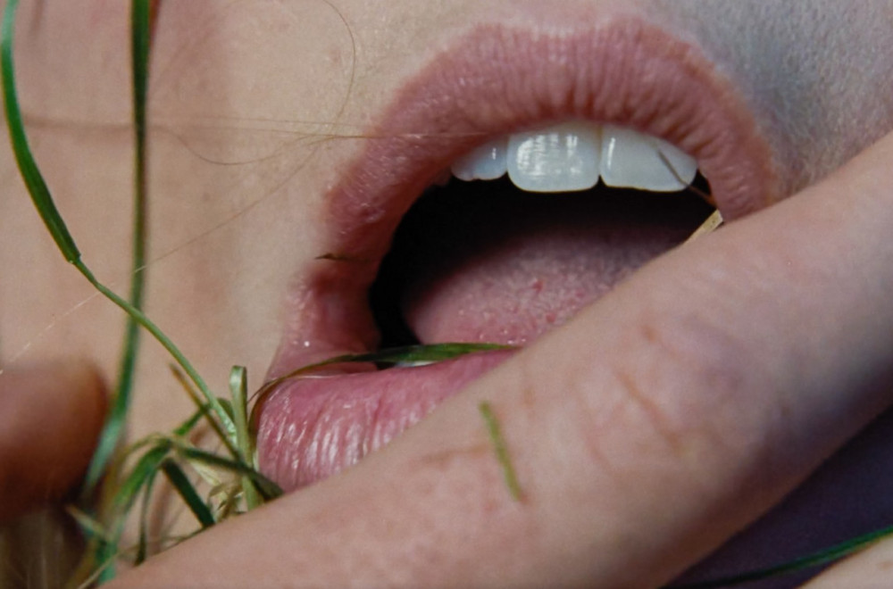 Zidovi u filmu Orkanski visovi se znoje: Otkriveno od čega su napravljeni VIDEO