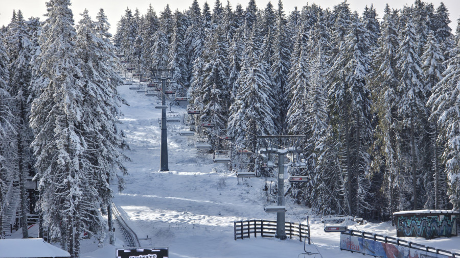 Više od 3.000 skijaša već stiglo na najpopularniju srpsku planinu: Staze su spremne FOTO/VIDEO