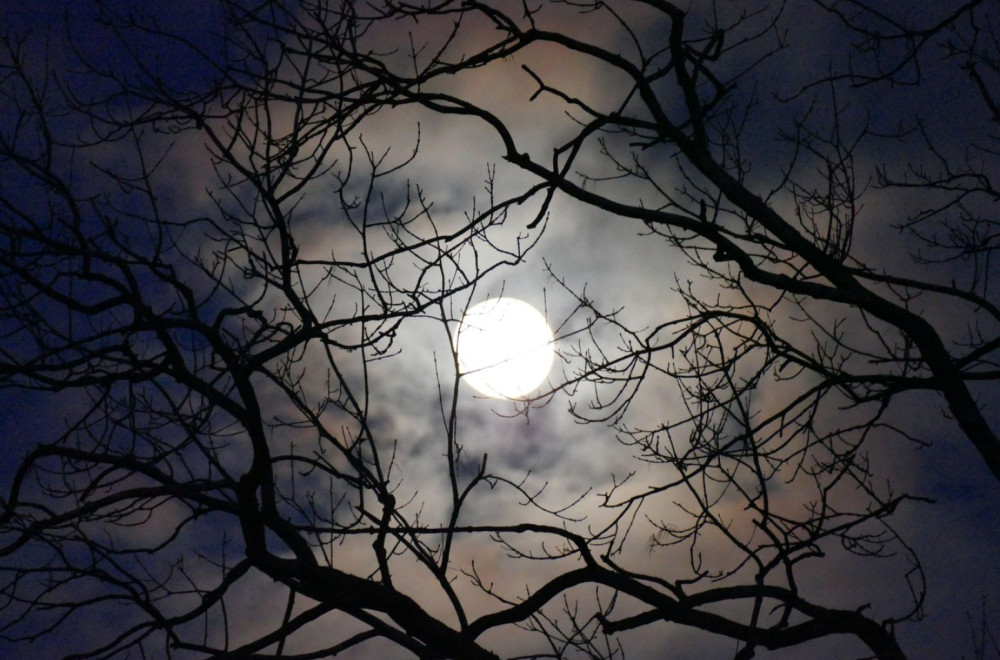 Večeras fenomen na nebu iznad Srbije: Poslednji do 2042. godine FOTO/VIDEO