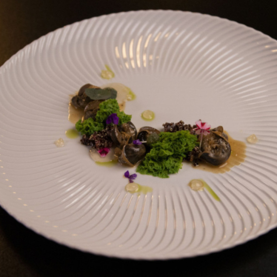 Finale MasterChefa donosi remek-delo na tanjiru: Puževima u belom vinu nećete odoleti