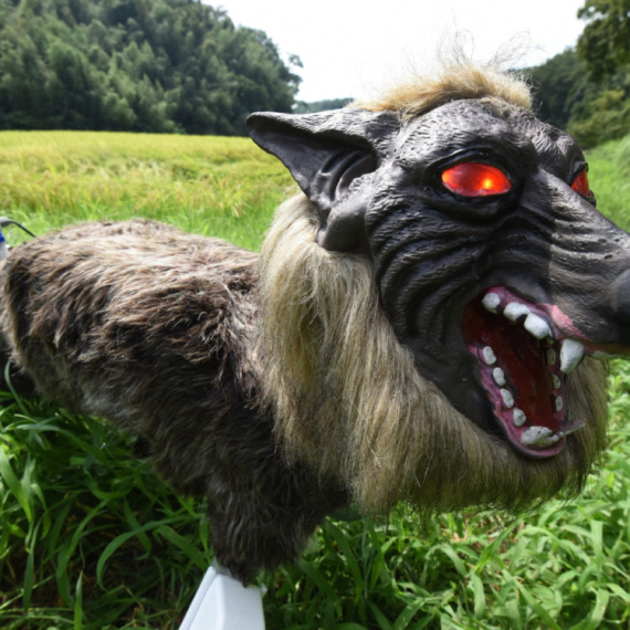 Svi su ga ismevali, sad ga koriste: Ovo je robotski "Čudovišni vuk" FOTO/VIDEO