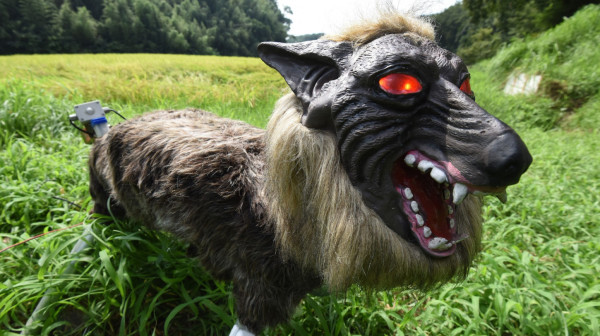 Svi su ga ismevali, sad ga koriste: Ovo je robotski "Čudovišni vuk" FOTO/VIDEO