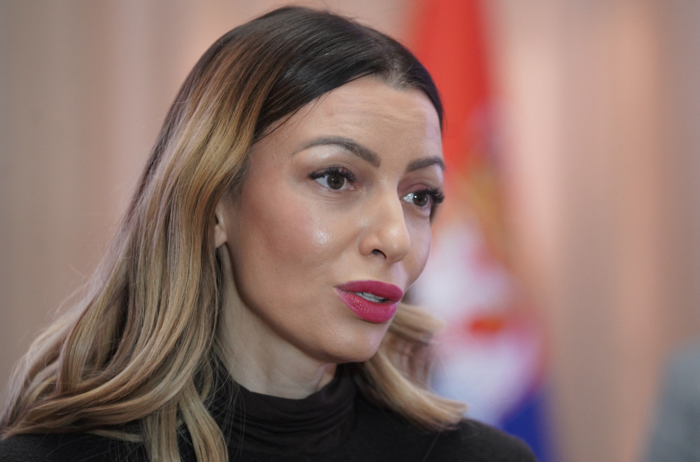 Mesarović: Zajedno sa kreditnim rejtingom naša država je jedinstvena investiciona destinacija