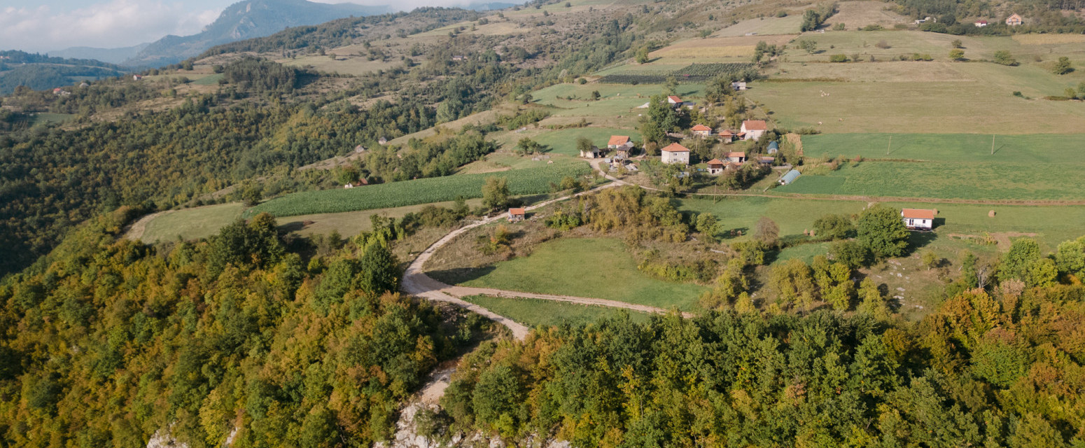 Prelepi divlji doseljenici: U šume Ljubovije stiglo devet muflona sa Tare, u planu i povratak divokoze