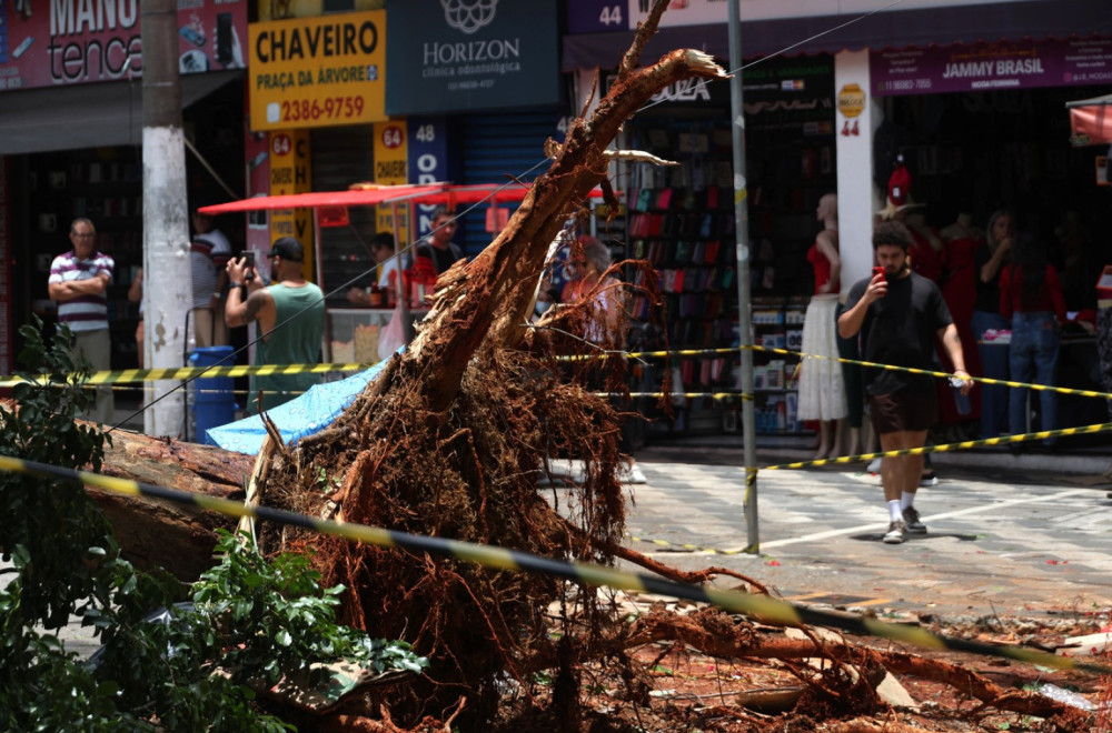 Totalni kolaps; Oluja ih paralisala – otkazani letovi, milioni u mraku VIDEO