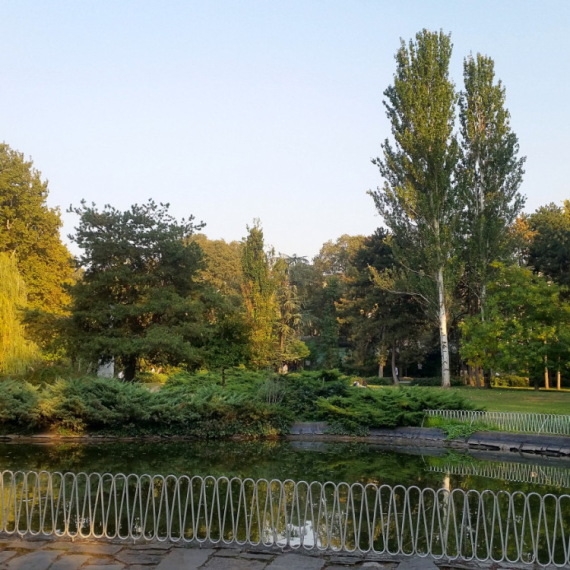 Novi Sad dobija "zelene sobe"