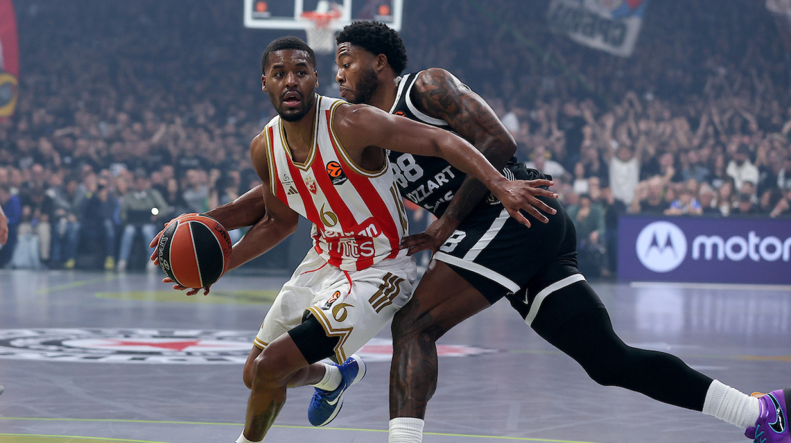 Nvora razbija Partizan – Zvezda na +10!