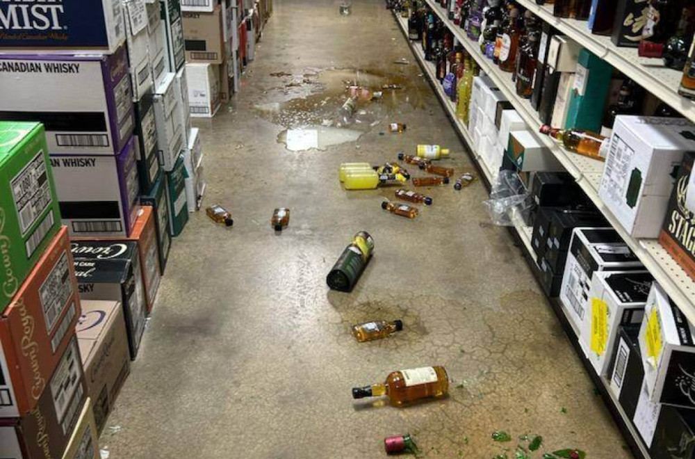 Neobičan prestupnik – rakun: Nije mu prvi put, opija se, krade crickalice...FOTO/VIDEO