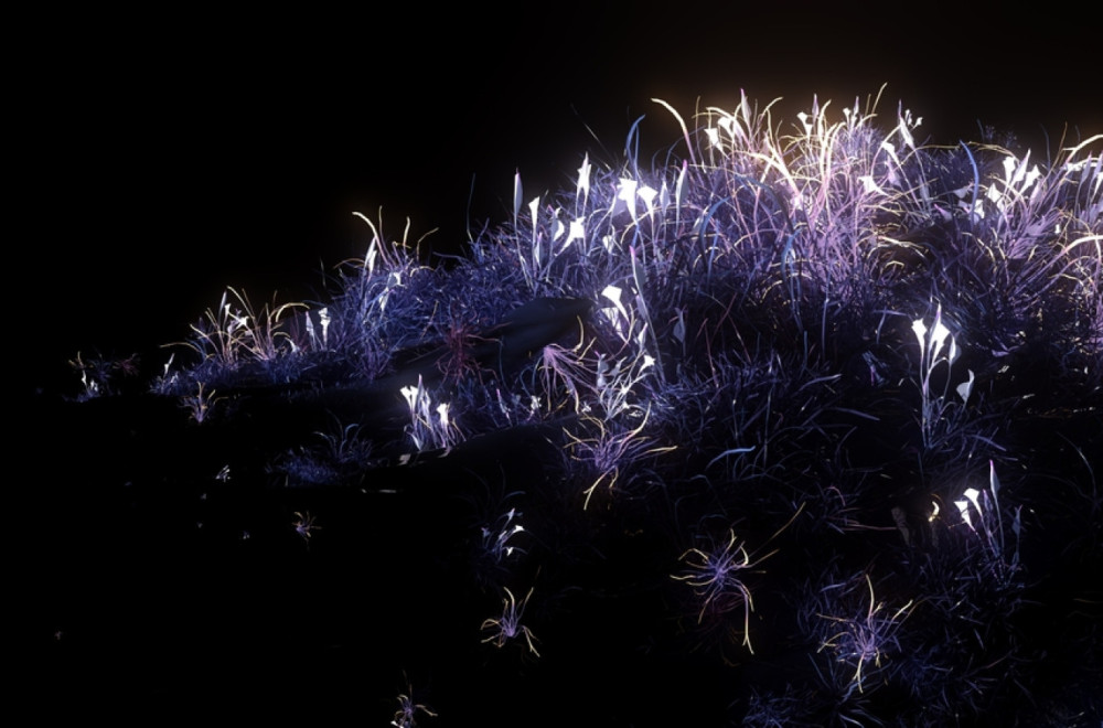 Kinezi izumeli biljke koje svetle u mraku