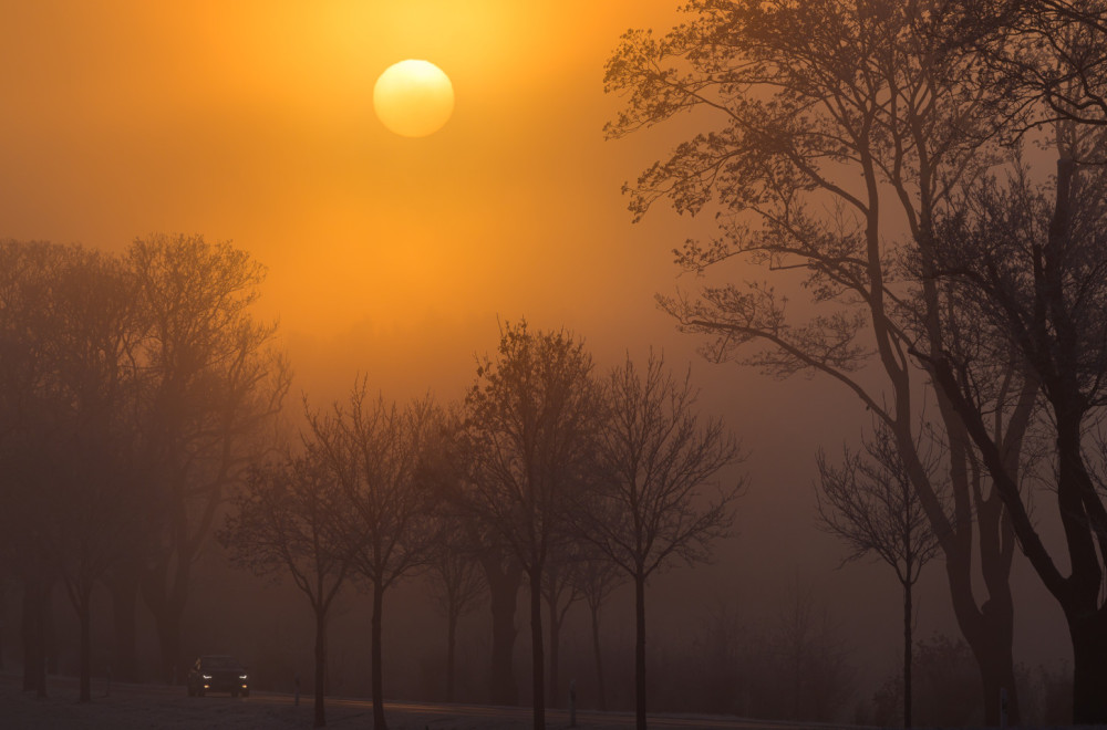 Maglovito u Srbiji – ovo su maksimalne temperature