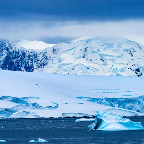 Otkrivena misteriozna stvorenja koja žive ispod leda: "Ovo je prvi put..." FOTO/VIDEO