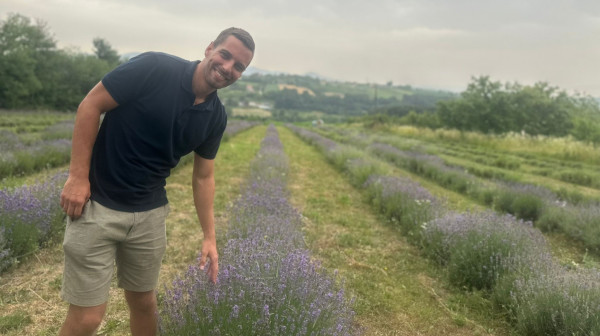 Dobre ideje uvek dobro prolaze: Bojan gaji lavandu i od nje pravi nesvakidašnji liker