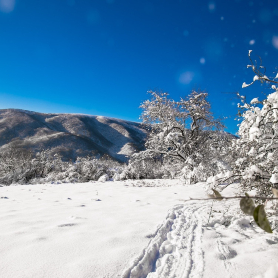 Objavljena najnovija prognoza: Sneg u Srbiji od ovog datuma