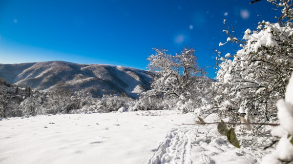 Latest forecast released: Snow in Serbia starting from this date