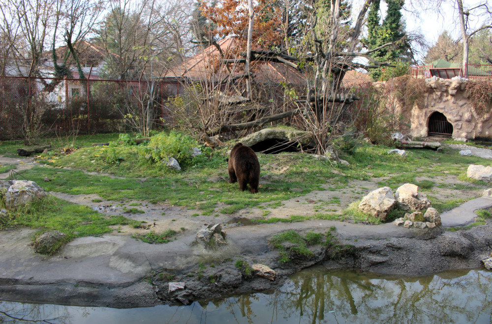 Vanredni inspekcijski nadzor u ZOO vrtu Palić: Životinje u dobrom zdravstvenom stanju