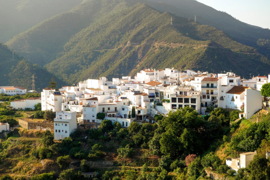 Vukoje....: Bloger izdvojio srpsku reč, komentari pljušte VIDEO