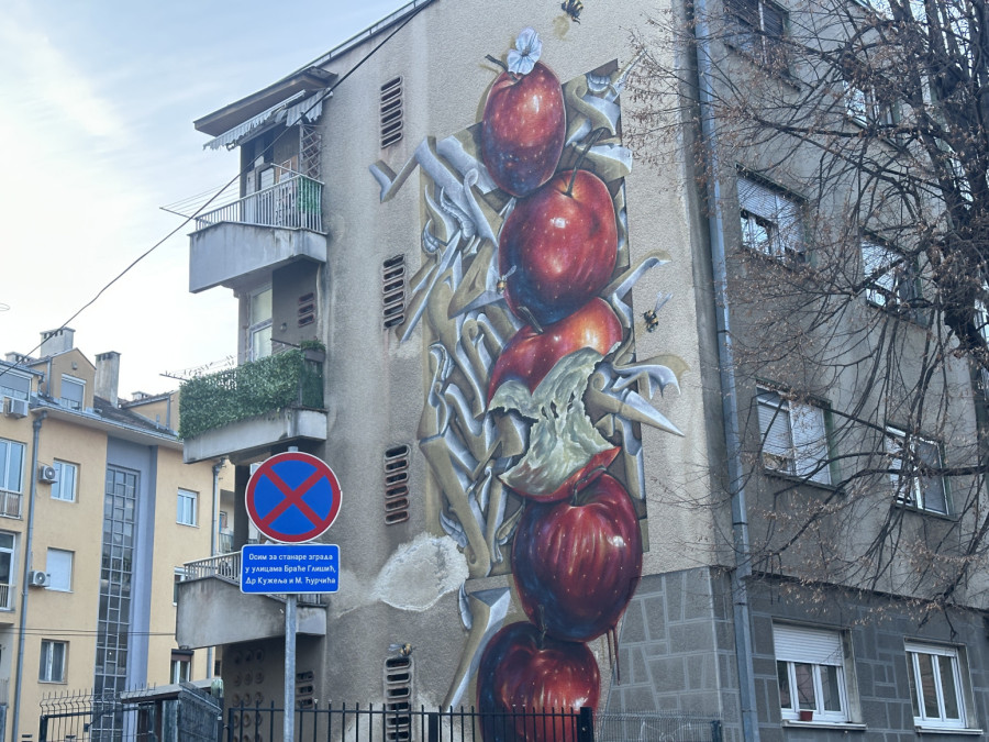 Svi se okreću i zastaju da ih vide: Evo kako je Čačak postao grad murala FOTO