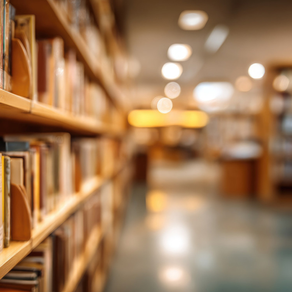 Renovira se jedna od najstarijih ustanova kulture u Nišu