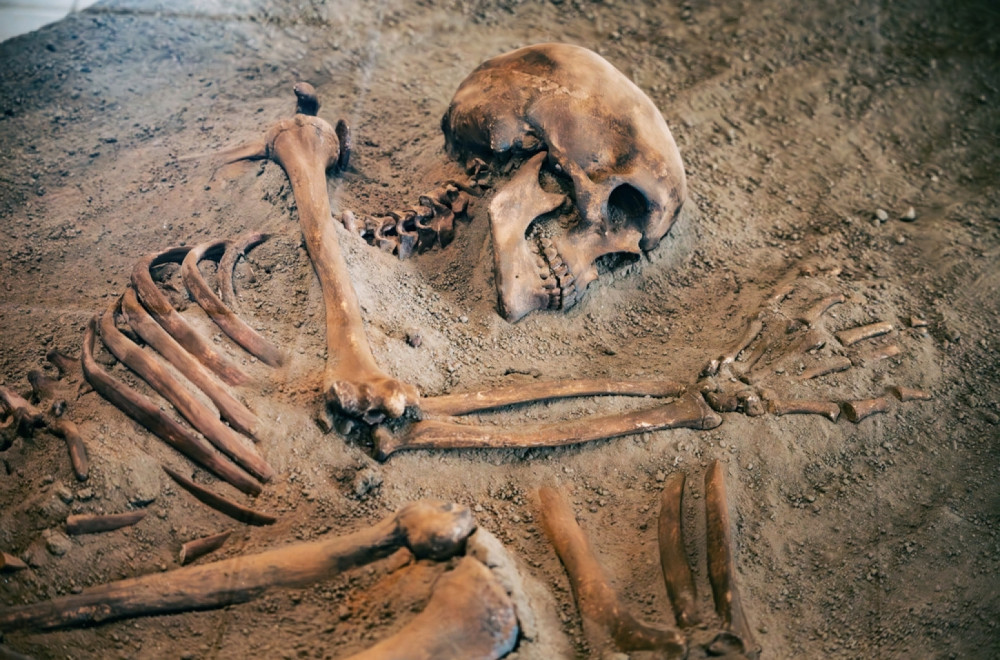 Naučnici obrnuli tezu: Ovaj fosil možda nije naš predak FOTO