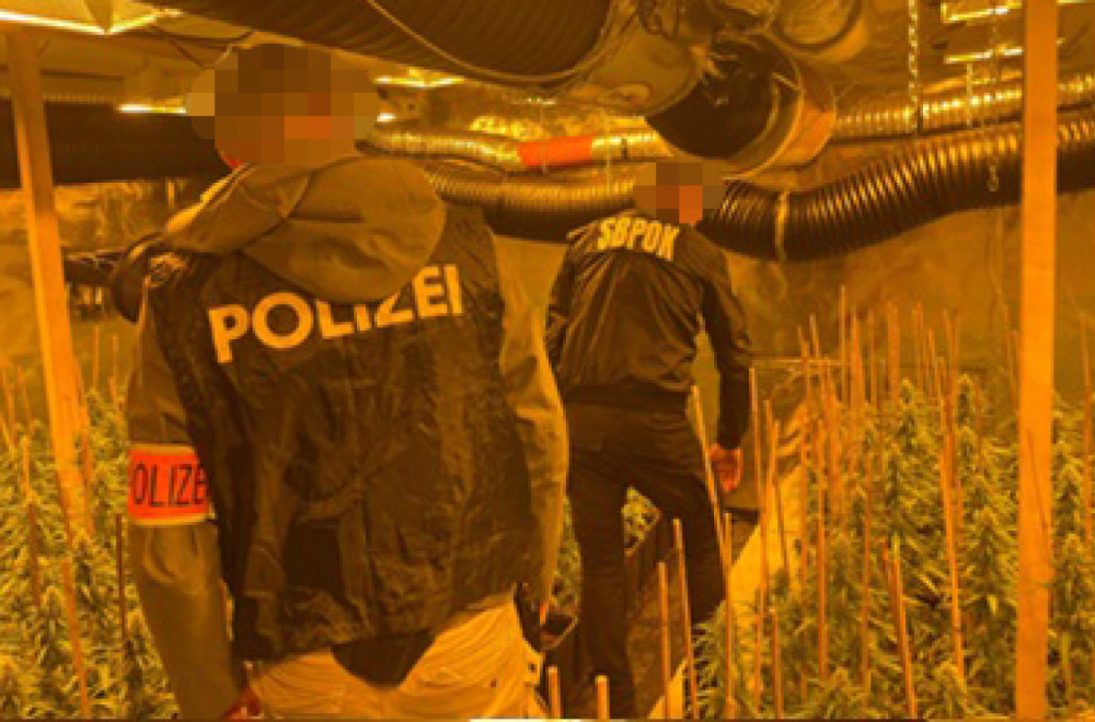 Palo veliko hapšenje; MUP razbio kriminalnu grupu za prodaju droge FOTO