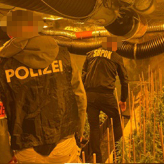 Palo veliko hapšenje; MUP razbio kriminalnu grupu za prodaju droge FOTO