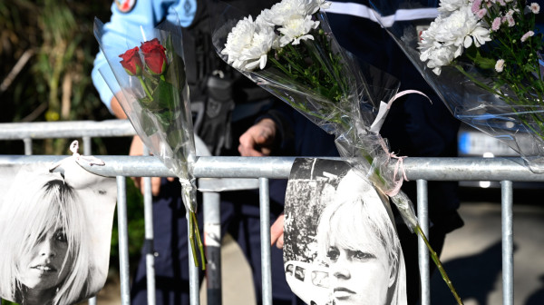 Tužan prizor ispred doma Brižit Bardo: Potresne slike obilaze svet FOTO