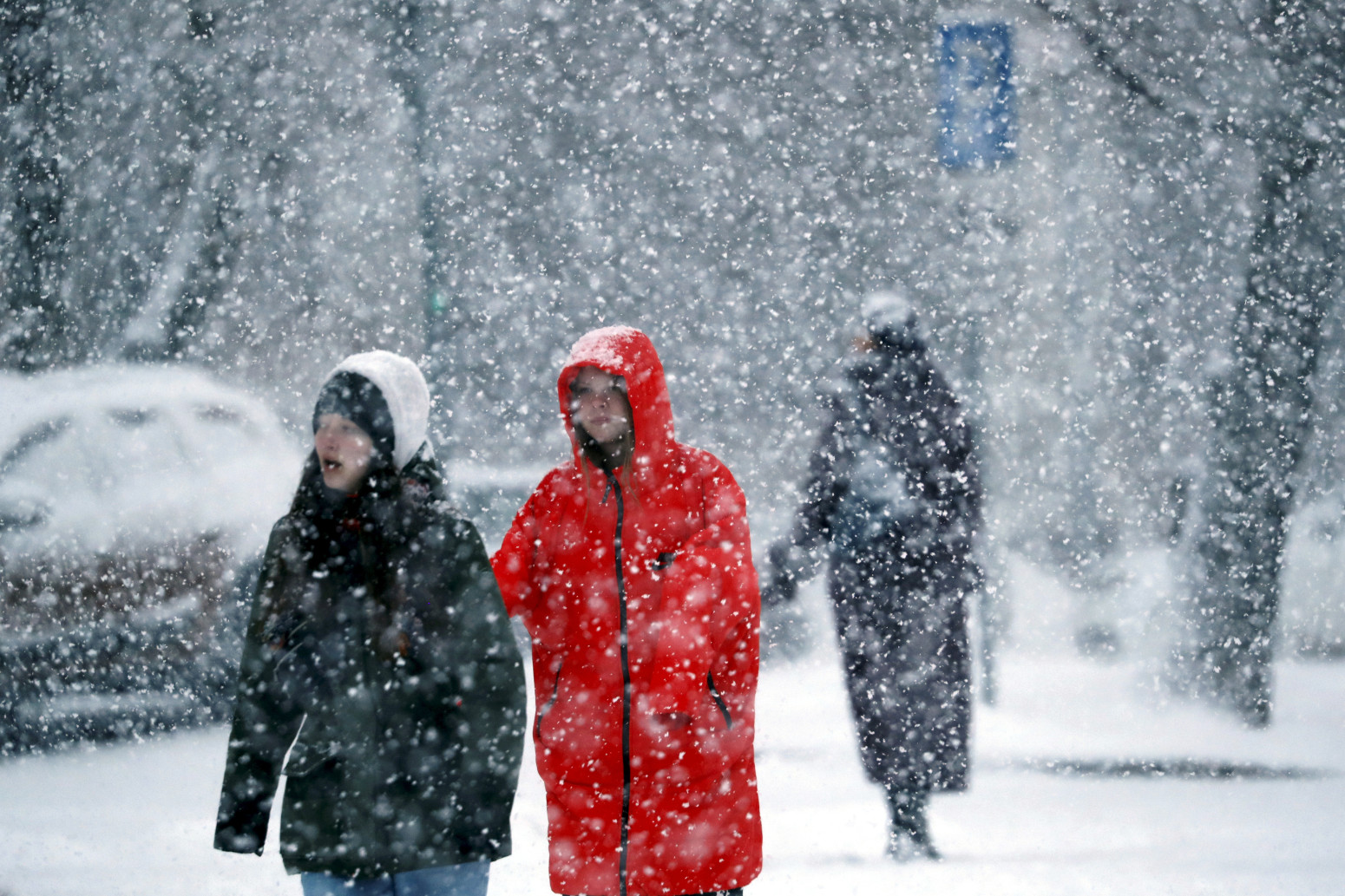 Sneg na Banovom brdu