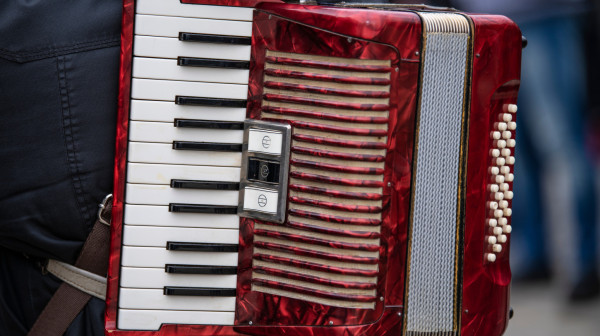 Ovo je instrument godine: Harmonika uvek i svuda