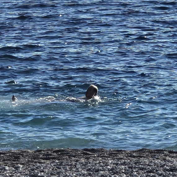 Novogodišnje brčkanje u ledenoj vodi na crnogorskom primorju: "Nisam verovao šta vidim" FOTO