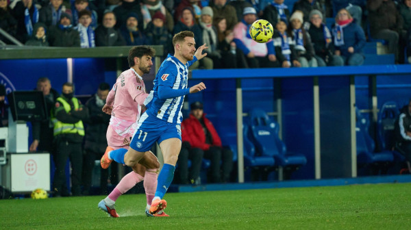 Bez Paunovića – dno