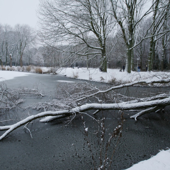 Complete collapse: Snow and ice cause chaos across the country; Nearly 500 flights canceled PHOTO/VIDEO