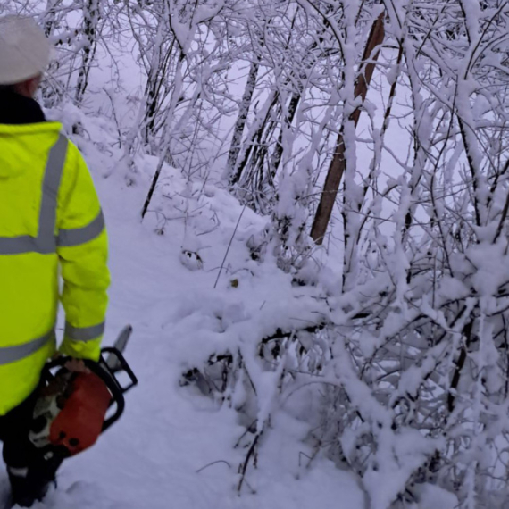 Elektrodistribucija: Većina teritorije Loznice snabdevena strujom