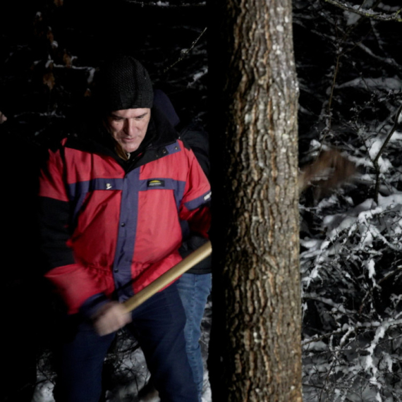 Ranom zorom krenula seča badnjaka: Prelepa praznična slika iz sela Gornja Trepča FOTO