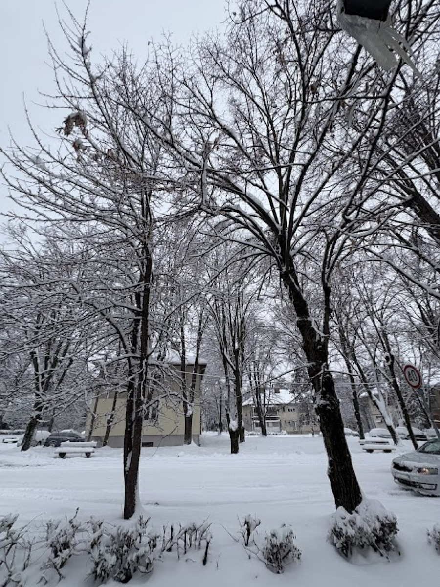 Batut objavio upozorenje: Talas hladnoće u Srbiji, evo šta da radite