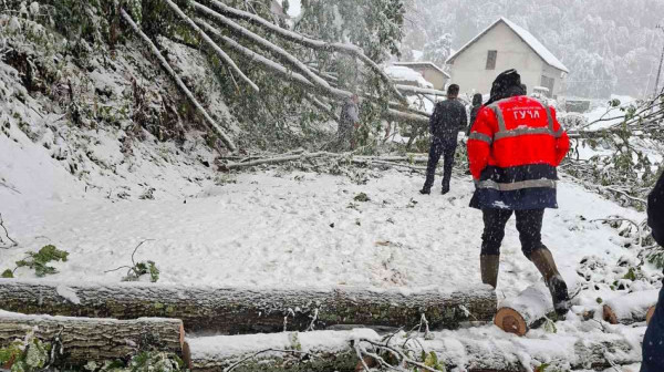 Proglašena vanredna situacija: Jak vetar napravio haos na trafo stanici