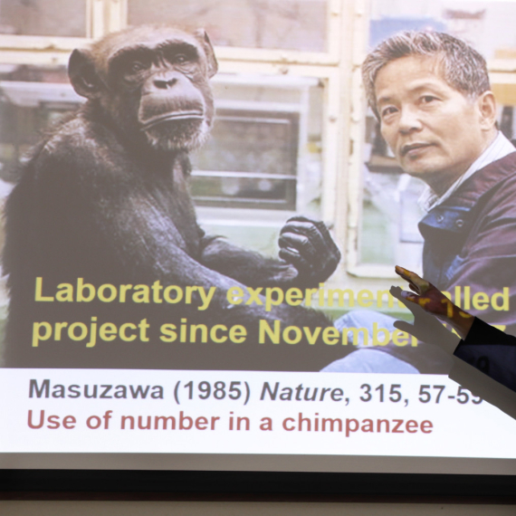 Preminula ženka šimpanze koja je umela da broji i crta