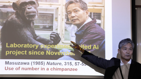 Preminula ženka šimpanze koja je umela da broji i crta