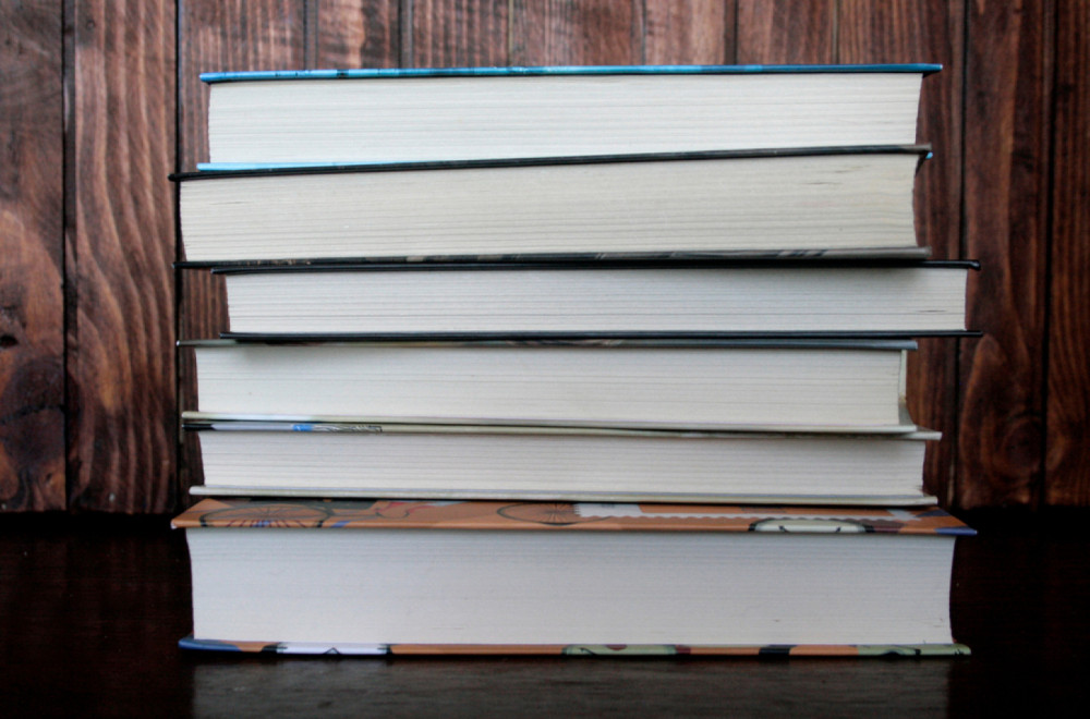 Ovih šest romana je ušlu u najuži izbor za NIN-ovu nagradu