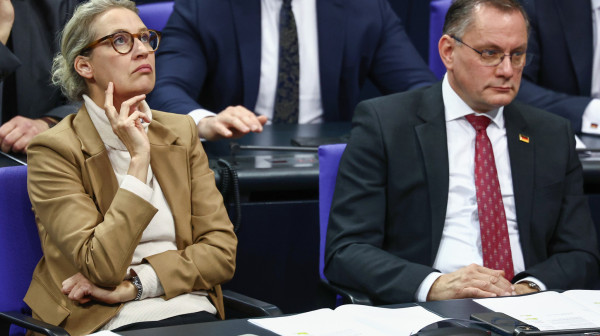 AfD se predomislio: Posle Venecuele i Grenlanda, želimo distancu