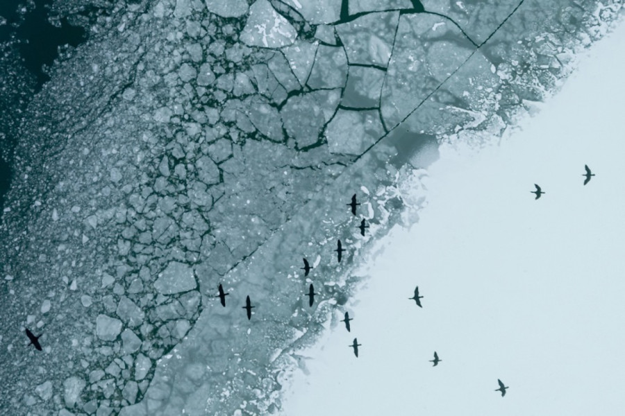 Posle devet godina zimska bajka na jezeru: Jedinstvena ledena površina privukla mnoge FOTO/VIDEO