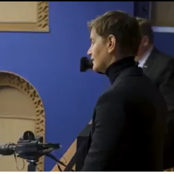 Ovako se poštuje Srbija: Poslanici estonskog parlamenta aplauzom pozdravili predsednicu skupštine Srbije VIDEO