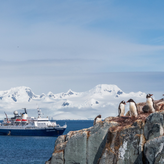 Zašto bogati i slavni hrle na Antarktik? FOTO/VIDEO